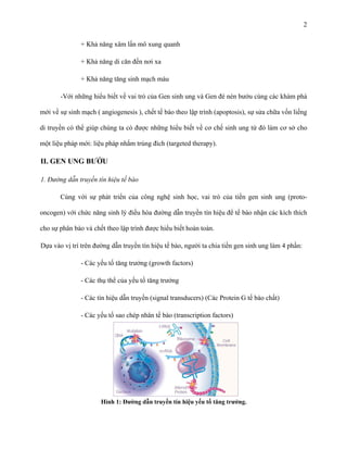 2
+ Khả năng xâm lấn mô xung quanh
+ Khả năng di căn đến nơi xa
+ Khả năng tăng sinh mạch máu
-Với những hiểu biết về vai trò của Gen sinh ung và Gen đè nén bướu cùng các khám phá
mới về sự sinh mạch ( angiogenesis ), chết tế bào theo lập trình (apoptosis), sự sửa chữa vốn liếng
di truyền có thể giúp chúng ta có được những hiểu biết về cơ chế sinh ung từ đó làm cơ sở cho
một liệu pháp mới: liệu pháp nhắm trúng đích (targeted therapy).

II. GEN UNG BƯỚU
1. Đường dẫn truyền tín hiệu tế bào
Cùng với sự phát triển của công nghệ sinh học, vai trò của tiền gen sinh ung (protooncogen) với chức năng sinh lý điều hòa đường dẫn truyền tín hiệu để tế bào nhận các kích thích
cho sự phân bào và chết theo lập trình được hiểu biết hoàn toàn.
Dựa vào vị trí trên đường dẫn truyền tín hiệu tế bào, người ta chia tiền gen sinh ung làm 4 phần:
- Các yếu tố tăng trưởng (growth factors)
- Các thụ thể của yếu tố tăng trưởng
- Các tín hiệu dẫn truyền (signal transducers) (Các Protein G tế bào chất)
- Các yếu tố sao chép nhân tế bào (transcription factors)

Hình 1: Đường dẫn truyền tín hiệu yếu tố tăng trưởng.

 