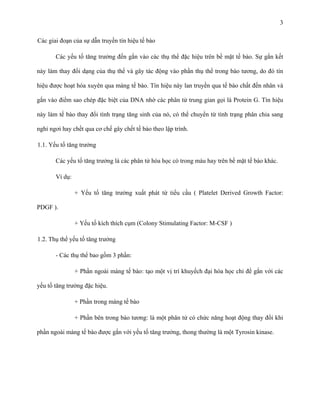 3
Các giai đoạn của sự dẫn truyền tín hiệu tế bào
Các yếu tố tăng trưởng đến gắn vào các thụ thể đặc hiệu trên bề mặt tế bào. Sự gắn kết
này làm thay đổi dạng của thụ thể và gây tác động vào phần thụ thể trong bào tương, do đó tín
hiệu được hoạt hóa xuyên qua màng tế bào. Tín hiệu này lan truyền qua tế bào chất đến nhân và
gắn vào điểm sao chép đặc biệt của DNA nhờ các phân tử trung gian gọi là Protein G. Tín hiệu
này làm tế bào thay đổi tình trạng tăng sinh của nó, có thể chuyển từ tình trạng phân chia sang
nghỉ ngơi hay chết qua cơ chế gây chết tế bào theo lập trình.
1.1. Yếu tố tăng trưởng
Các yếu tố tăng trưởng là các phân tử hóa học có trong máu hay trên bề mặt tế bào khác.
Ví dụ:
+ Yếu tố tăng trưởng xuất phát từ tiểu cầu ( Platelet Derived Growth Factor:
PDGF ).
+ Yếu tố kích thích cụm (Colony Stimulating Factor: M-CSF )
1.2. Thụ thể yếu tố tăng trưởng
- Các thụ thể bao gồm 3 phần:
+ Phần ngoài màng tế bào: tạo một vị trí khuyếch đại hóa học chỉ để gắn với các
yếu tố tăng trưởng đặc hiệu.
+ Phần trong màng tế bào
+ Phần bên trong bào tương: là một phân tử có chức năng hoạt động thay đổi khi
phần ngoài màng tế bào được gắn với yếu tố tăng trưởng, thong thường là một Tyrosin kinase.

 