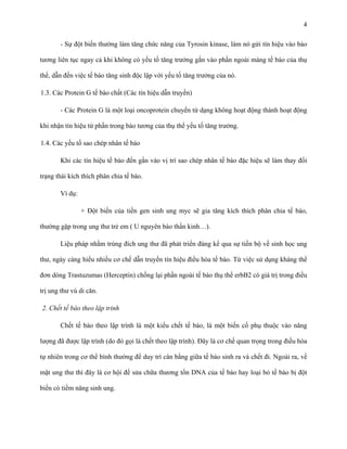4
- Sự đột biến thường làm tăng chức năng của Tyrosin kinase, làm nó gửi tín hiệu vào bào
tương liên tục ngay cả khi không có yếu tố tăng trưởng gắn vào phần ngoài màng tế bào của thụ
thể, dẫn đến việc tế bào tăng sinh độc lập với yếu tố tăng trưởng của nó.
1.3. Các Protein G tế bào chất (Các tín hiệu dẫn truyền)
- Các Protein G là một loại oncoprotein chuyển từ dạng không hoạt động thành hoạt động
khi nhận tín hiệu từ phần trong bào tương của thụ thể yếu tố tăng trưởng.
1.4. Các yếu tố sao chép nhân tế bào
Khi các tín hiệu tế bào đến gắn vào vị trí sao chép nhân tế bào đặc hiệu sẽ làm thay đổi
trạng thái kích thích phân chia tế bào.
Ví dụ:
+ Đột biến của tiền gen sinh ung myc sẽ gia tăng kích thích phân chia tế bào,
thường gặp trong ung thư trẻ em ( U nguyên bào thần kinh…).
Liệu pháp nhằm trúng đích ung thư đã phát triển đáng kể qua sự tiến bộ về sinh học ung
thư, ngày càng hiểu nhiều cơ chế dẫn truyền tín hiệu điều hòa tế bào. Từ việc sử dụng kháng thể
đơn dòng Trastuzumas (Herceptin) chống lại phần ngoài tế bào thụ thể erbB2 có giá trị trong điều
trị ung thư vú di căn.
2. Chết tế bào theo lập trinh
Chết tế bào theo lập trình là một kiểu chết tế bào, là một biến cố phụ thuộc vào năng
lượng đã được lập trình (do đó gọi là chết theo lập trình). Đây là cơ chế quan trọng trong điều hòa
tự nhiên trong cơ thể bình thường để duy trì cân bằng giữa tế bào sinh ra và chết đi. Ngoài ra, về
mặt ung thư thì đây là cơ hội để sửa chữa thương tổn DNA của tế bào hay loại bỏ tế bào bị đột
biến có tiềm năng sinh ung.

 