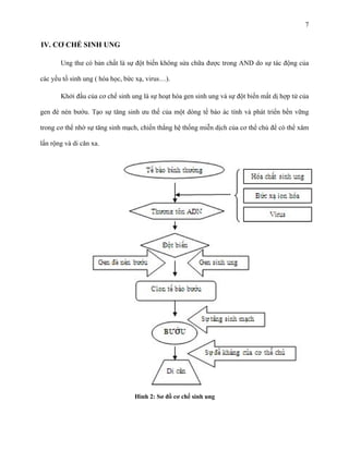 7

IV. CƠ CHẾ SINH UNG
Ung thư có bản chất là sự đột biến không sửa chữa được trong AND do sự tác động của
các yếu tố sinh ung ( hóa học, bức xạ, virus…).
Khởi đầu của cơ chế sinh ung là sự hoạt hóa gen sinh ung và sự đột biến mất dị hợp tử của
gen đè nén bướu. Tạo sự tăng sinh ưu thế của một dòng tế bào ác tính và phát triển bền vững
trong cơ thể nhờ sự tăng sinh mạch, chiến thắng hệ thống miễn dịch của cơ thể chủ để có thể xâm
lấn rộng và di căn xa.

Hình 2: Sơ đồ cơ chế sinh ung

 
