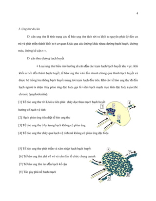 4

3. Ung thư di căn
Di căn ung thư là tình trạng các tế bào ung thư tách rời ra khỏi u nguyên phát để đến cư
trú và phát triển thành khối u ở cơ quan khác qua các đường khác nhau: đường bạch huyết, đường
máu, đường kế cận.v.v.
Di căn theo đường bạch huyết
+ Loại ung thư biểu mô thường di căn đến các trạm hạch bạch huyết khu vực. Khi
khối u tiến đến thành bạch huyết, tế bào ung thư xâm lấn nhanh chóng qua thành bạch huyết và
được hệ thống lưu thông bạch huyết mang tới trạm hạch đầu tiên. Khi các tế bào ung thư đi đến
hạch người ta nhận thấy phản ứng đặc hiệu gọi là viêm bạch mạch mạn tính đặc hiệu (specific
chronic lymphadenitis).
[1] Tế bào ung thư rời khỏi u tiên phát chảy dọc theo mạch bạch huyết
hướng về hạch vệ tinh
[2] Hạch phản ứng tiêu diệt tế bào ung thư
[3] Tế bào ung thư ở lại trong hạch không có phản ứng
[4] Tế bào ung thư chảy qua hạch vệ tinh mà không có phản ứng đặc hiệu

[5] Tế bào ung thư phát triển và xâm nhập hạch bạch huyết
[6] Tế bào ung thư phá vỡ vỏ và xâm lấn tổ chức chung quanh
[7] Tế bào ung thư lan đến hạch kế cận
[8] Tắc gây phù nề bạch mạch

 