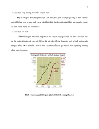 9
2. Giai đoạn tăng trưởng, thúc đẩy, chuyển biển
Đây là các giai đoạn sau giao đoạn khởi phát; bao gồm sự chọn lọc dòng tế bào, sự thay
đổi thể hiện ở gen, sự tăng sinh của tế bào khởi phát. Sự tăng sinh của tế bào ung thư còn ở mức
độ nhỏ, cư trú ở một mô nhỏ nào đó.
3. Giai đoạn lan tràn
Tiếp theo các giai đoạn trên, ung thư có thể chuyển sang giai đoạn lan tràn. Giai đoạn này
có thể ngắn vài tháng và cũng có thể kéo dài vài năm. Ở giai đoạn này khối u bành trướng, gia
tăng có thể từ 100 tế bào đến 1 triệu tế bào. Tuy nhiên vẫn còn quá nhỏ để phát hiện bằng phương
pháp phân tích được.

Hình 4: Khoảngcách thời gian giữa hút thuốc là và ung thư phổi

 