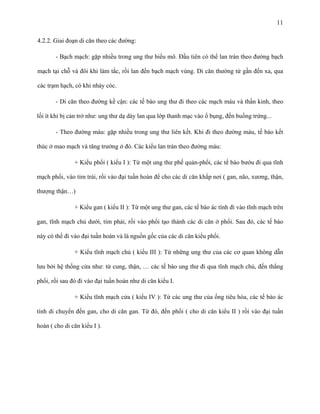 11
4.2.2. Giai đoạn di căn theo các đường:
- Bạch mạch: gặp nhiều trong ung thư biểu mô. Đầu tiên có thể lan tràn theo đường bạch
mạch tại chỗ và đôi khi làm tắc, rồi lan đến bạch mạch vùng. Di căn thường từ gần đến xa, qua
các trạm hạch, có khi nhảy cóc.
- Di căn theo đường kề cận: các tế bào ung thư đi theo các mạch máu và thần kinh, theo
lối ít khi bị cản trở như: ung thư dạ dày lan qua lớp thanh mạc vào ổ bụng, đến buồng trứng...
- Theo đường máu: gặp nhiều trong ung thư liên kết. Khi đi theo đường máu, tế bào kết
thúc ở mao mạch và tăng trưởng ở đó. Các kiểu lan tràn theo đường máu:
+ Kiểu phổi ( kiểu I ): Từ một ung thư phế quản-phổi, các tế bào bướu đi qua tĩnh
mạch phổi, vào tim trái, rồi vào đại tuần hoàn để cho các di căn khắp nơi ( gan, não, xương, thận,
thượng thận…)
+ Kiểu gan ( kiểu II ): Từ một ung thư gan, các tế bào ác tính đi vào tĩnh mạch trên
gan, tĩnh mạch chủ dưới, tim phải, rồi vào phổi tạo thành các di căn ở phổi. Sau đó, các tế bào
này có thể đi vào đại tuần hoàn và là nguồn gốc của các di căn kiểu phổi.
+ Kiểu tĩnh mạch chủ ( kiểu III ): Từ những ung thư của các cơ quan không dẫn
lưu bởi hệ thống cửa như: tử cung, thận, … các tế bào ung thư đi qua tĩnh mạch chủ, đến thẳng
phổi, rồi sau đó đi vào đại tuần hoàn như di căn kiểu I.
+ Kiểu tĩnh mạch cửa ( kiểu IV ): Từ các ung thư của ống tiêu hóa, các tế bào ác
tính di chuyển đến gan, cho di căn gan. Từ đó, đến phổi ( cho di căn kiểu II ) rồi vào đại tuần
hoàn ( cho di căn kiểu I ).

 
