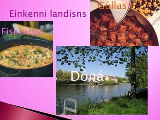 Einkenni landisnsGúllasFiskisúpaDóná