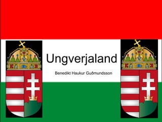 Ungverjaland Benedikt Haukur Guðmundsson 