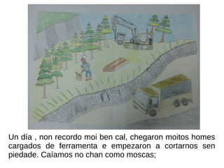 Un día , non recordo moi ben cal, chegaron moitos homes
cargados de ferramenta e empezaron a cortarnos sen
piedade. Caíamos no chan como moscas;
 