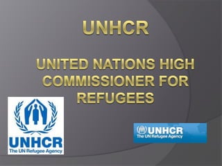 UNHCRunited nations high commissioner for refugees 