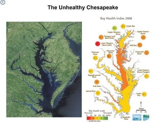The Unhealthy Chesapeake 1 
