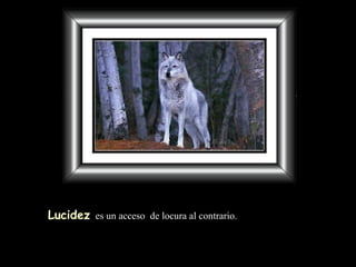 Lucidez   es un acceso  de locura al contrario. 