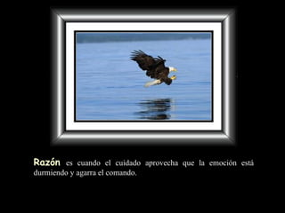 Razón   es cuando el cuidado  aprovecha que la emoción  está durmiendo y agarra el comando. 
