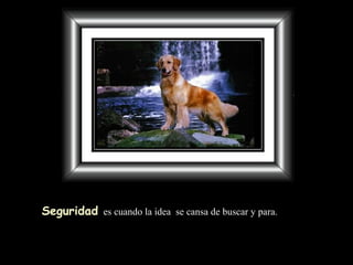 Seguridad   es cuando la idea  se cansa de buscar y para. 