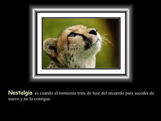 Nostalgia   es cuando el momento   trata de huir del recuerdo   para suceder de nuevo y no lo consigue. 