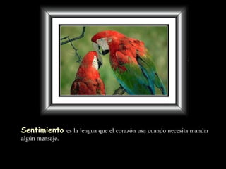 Sentimiento   es la lengua que el corazón usa cuando necesita mandar algún mensaje. 