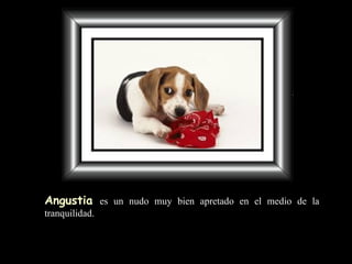 Angustia   es un nudo muy bien apretado en el medio de la tranquilidad. 