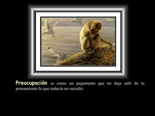 Preocupación   es como un pegamento   que no deja  salir de tu pensamiento lo que todavía no sucedió. 
