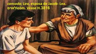cansada; Lea, esposa de Jacob: Lea.
‫אוים‬ ְ‫ל‬leóm. Véase H 3816.
 