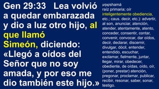 Gen 29:33 Lea volvió
a quedar embarazada
y dio a luz otro hijo, al
que llamó
Simeón, diciendo:
«Llegó a oídos del
Señor que no soy
amada, y por eso me
dio también este hijo.»
‫ע‬ ַ‫מ‬ ָ‫ש‬shamá
raíz primaria; oír
inteligentemente obediencia,
etc.; caus. decir, etc.): advertir,
al son, anunciar, atención,
atender, atentamente, atento,
conceder, consentir, contar,
convenir, convocar, dar oídos,
decir, declarar, discernir,
divulgar, dócil, entender,
entendido, escuchar,
exclamar, fielmente, juntar,
llegar, mirar, obedecer,
obediente, de oídas, oído, oír,
(poner, prestar) atención,
pregonar, proclamar, publicar,
recibir, resonar, saber, sonar,
testigo.
 