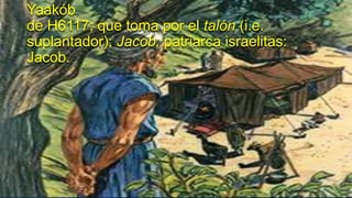 Yaakób
de H6117; que toma por el talón (i.e.
suplantador); Jacob, patriarca israelitas:
Jacob.
 