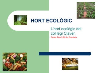 HORT ECOLÒGIC L’hort ecològic del col·legi Claver. Paula Peiró 6è de Primària 