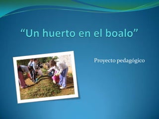 “Un huerto en el boalo” Proyecto pedagógico 
