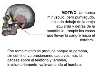 MOTIVO: Un hueso
                     minúsculo, pero puntiagudo,
                       situado debajo de la oreja
                           izquierda y detrás de la
                     mandíbula, rompió los vasos
                     que llevan la sangre hacia el
                                          cerebro.

Ese rompimiento se produce porque la persona,
sin sentirlo, va presionando cada vez más la
cabeza sobre el teléfono y también,
involuntariamente, va levantando el hombro.
 