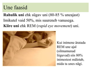 Une faasid Rahulik uni  ehk sügav uni (80-85 % uneajast) Imikutel vaid 50%, mis suureneb vanusega. Kiire uni  ehk REM ( rapid eye movement ) uni. Kui inimene äratada REM une ajal (silmamunad liiguvad) siis 80% inimestest mäletab, mida ta unes nägi. 