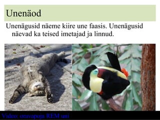 Unenäod Unenägusid näeme kiire une faasis. Unenägusid näevad ka teised imetajad ja linnud. Video: oravapoja REM uni 