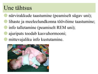 Une tähtsus närvirakkude taastumine (peamiselt sügav uni); lihaste ja meeleelundkonna töövõime taastumine; info talletamine (peamiselt REM uni); ajuripats toodab kasvuhormooni; mittevajaliku info kustutamine. 
