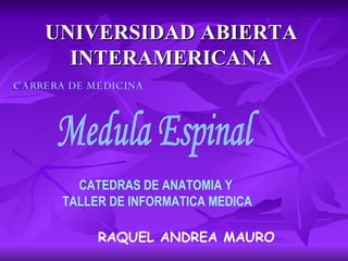 UNIVERSIDAD ABIERTA INTERAMERICANA CATEDRAS DE ANATOMIA Y  TALLER DE INFORMATICA MEDICA RAQUEL ANDREA MAURO Medula Espinal CARRERA DE MEDICINA   