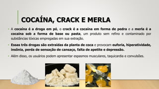 COCAÍNA, CRACK E MERLA
• A cocaína é a droga em pó, o crack é a cocaína em forma de pedra e a merla é a
cocaína sob a forma de base ou pasta, um produto sem refino e contaminado por
substâncias tóxicas empregadas em sua extração.
• Essas três drogas são extraídas da planta de coca e provocam euforia, hiperatividade,
insônia, perda de sensação de cansaço, falta de apetite e depressão.
• Além disso, os usuários podem apresentar espasmos musculares, taquicardia e convulsões.
 