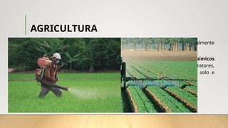 AGRICULTURA
• A agricultura comercial moderna utiliza recursos técnicos e financeiros, geralmente
controlados por empresas, principalmente as transnacionais.
• Nessa modalidade a produtividade é mantida por meio de insumos químicos
(fertilizantes, agrotóxicos etc.), seleção de sementes, mecanização (tratores,
colheitadeiras, sistemas de irrigação, entre outros), manejo apropriado do solo e
armazenagem apropriada da produção.
 