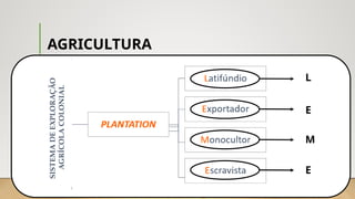 AGRICULTURA
• A agricultura comercial do tipo plantation tem como características produção
destinada à exportação; uso de mão de obra temporária e barata (boias-frias), cultivo,
principalmente, de produtos tropicais, como soja, cana-de-açúcar, café, cacau, banana
entre outros; ocupação de extensas áreas e cultivação de apenas um produto
(monocultura).
• Com essa modalidade ocorre concentração de terra, aumento do êxodo rural e
consequentemente inchaço dos espaços urbanos.
SISTEMA
DE
EXPLORAÇÃO
AGRÍCOLA
COLONIAL
L
E
M
E
 