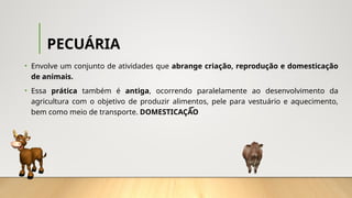 PECUÁRIA
• Envolve um conjunto de atividades que abrange criação, reprodução e domesticação
de animais.
• Essa prática também é antiga, ocorrendo paralelamente ao desenvolvimento da
agricultura com o objetivo de produzir alimentos, pele para vestuário e aquecimento,
bem como meio de transporte. DOMESTICAÇÃO
 