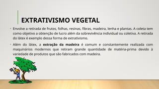 EXTRATIVISMO VEGETAL
• Envolve a retirada de frutos, folhas, resinas, fibras, madeira, lenha e plantas. A coleta tem
como objetivo a obtenção de lucro além da sobrevivência individual ou coletiva. A retirada
do látex é exemplo dessa forma de extrativismo.
• Além do látex, a extração da madeira é comum e constantemente realizada com
maquinários modernos que retiram grande quantidade de matéria-prima devido à
variedade de produtos que são fabricados com madeira.
 