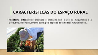 CARACTERÍSTICAS DO ESPAÇO RURAL
• O sistema extensivo de produção é praticado sem o uso de maquinários e a
produtividade é relativamente baixa, pois depende da fertilidade natural do solo.
 