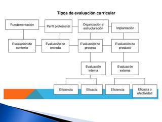Unidad 4. Evaluación Curricular