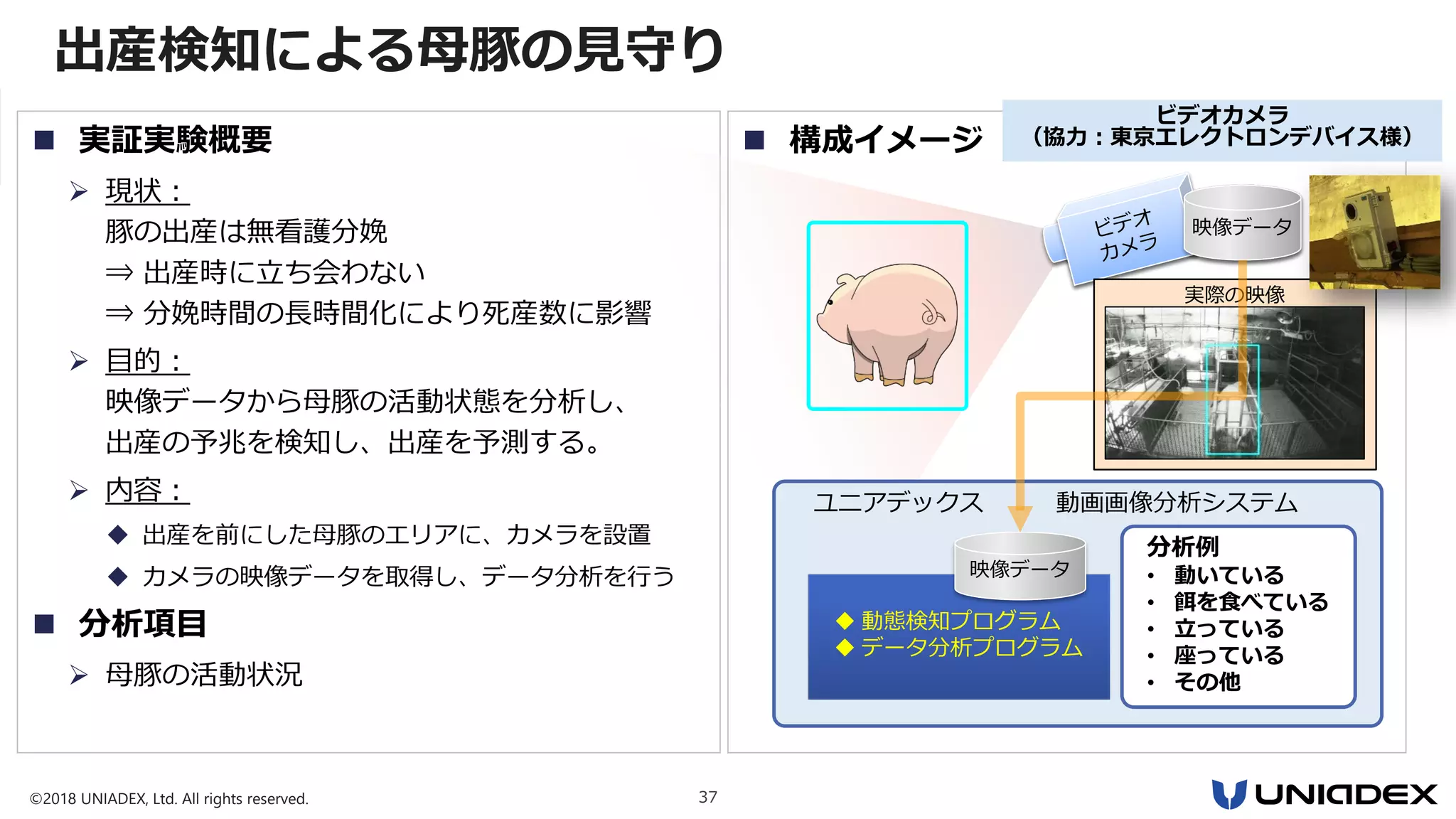 ©2018 UNIADEX, Ltd. All rights reserved. 37
出産検知による母豚の見守り
 実証実験概要
 現状：
豚の出産は無看護分娩
⇒ 出産時に立ち会わない
⇒ 分娩時間の長時間化により死産数に影響
 目的：
映像データから母豚の活動状態を分析し、
出産の予兆を検知し、出産を予測する。
 内容：
 出産を前にした母豚のエリアに、カメラを設置
 カメラの映像データを取得し、データ分析を行う
 分析項目
 母豚の活動状況
映像データ映像データ
実際の映像
ユニアデックス 動画画像分析システム
 動態検知プログラム
 データ分析プログラム
分析例
• 動いている
• 餌を食べている
• 立っている
• 座っている
• その他
映像データ
 構成イメージ
ビデオカメラ
（協力：東京エレクトロンデバイス様）
 