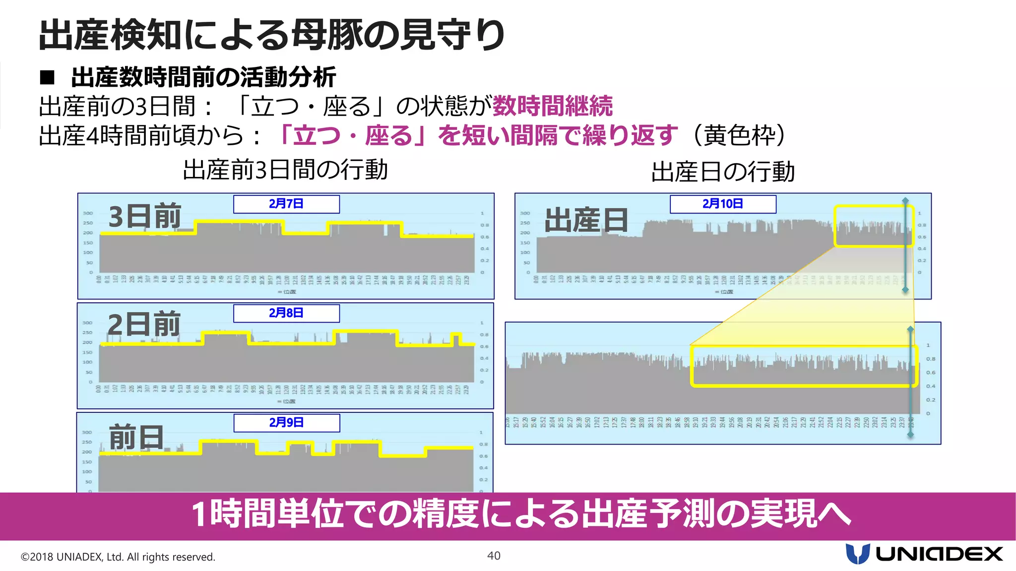 ©2018 UNIADEX, Ltd. All rights reserved. 40
出産検知による母豚の見守り
出産前3日間の行動
 出産数時間前の活動分析
出産前の3日間： 「立つ・座る」の状態が数時間継続
前日
2日前
3日前
1時間単位での精度による出産予測の実現へ
出産日の行動
出産日
出産4時間前頃から：「立つ・座る」を短い間隔で繰り返す（黄色枠）
 