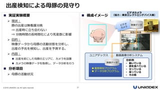 ©2018 UNIADEX, Ltd. All rights reserved. 37
出産検知による母豚の見守り
 実証実験概要
 現状：
豚の出産は無看護分娩
⇒ 出産時に立ち会わない
⇒ 分娩時間の長時間化により死産数に影響
 目的：
映像データから母豚の活動状態を分析し、
出産の予兆を検知し、出産を予測する。
 内容：
 出産を前にした母豚のエリアに、カメラを設置
 カメラの映像データを取得し、データ分析を行う
 分析項目
 母豚の活動状況
映像データ映像データ
実際の映像
ユニアデックス 動画画像分析システム
 動態検知プログラム
 データ分析プログラム
分析例
• 動いている
• 餌を食べている
• 立っている
• 座っている
• その他
映像データ
 構成イメージ
ビデオカメラ
（協力：東京エレクトロンデバイス様）
 
