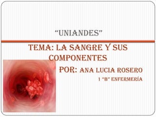 “UNIANDES”
TEMA: LA SANGRE Y SUS
    COMPONENTES
       Por: Ana lucia rosero
                 1 “b” ENFErmEríA
 