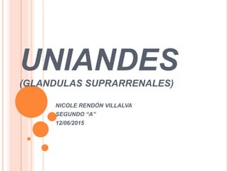 UNIANDES
(GLANDULAS SUPRARRENALES)
NICOLE RENDÓN VILLALVA
SEGUNDO “A”
12/06/2015
 