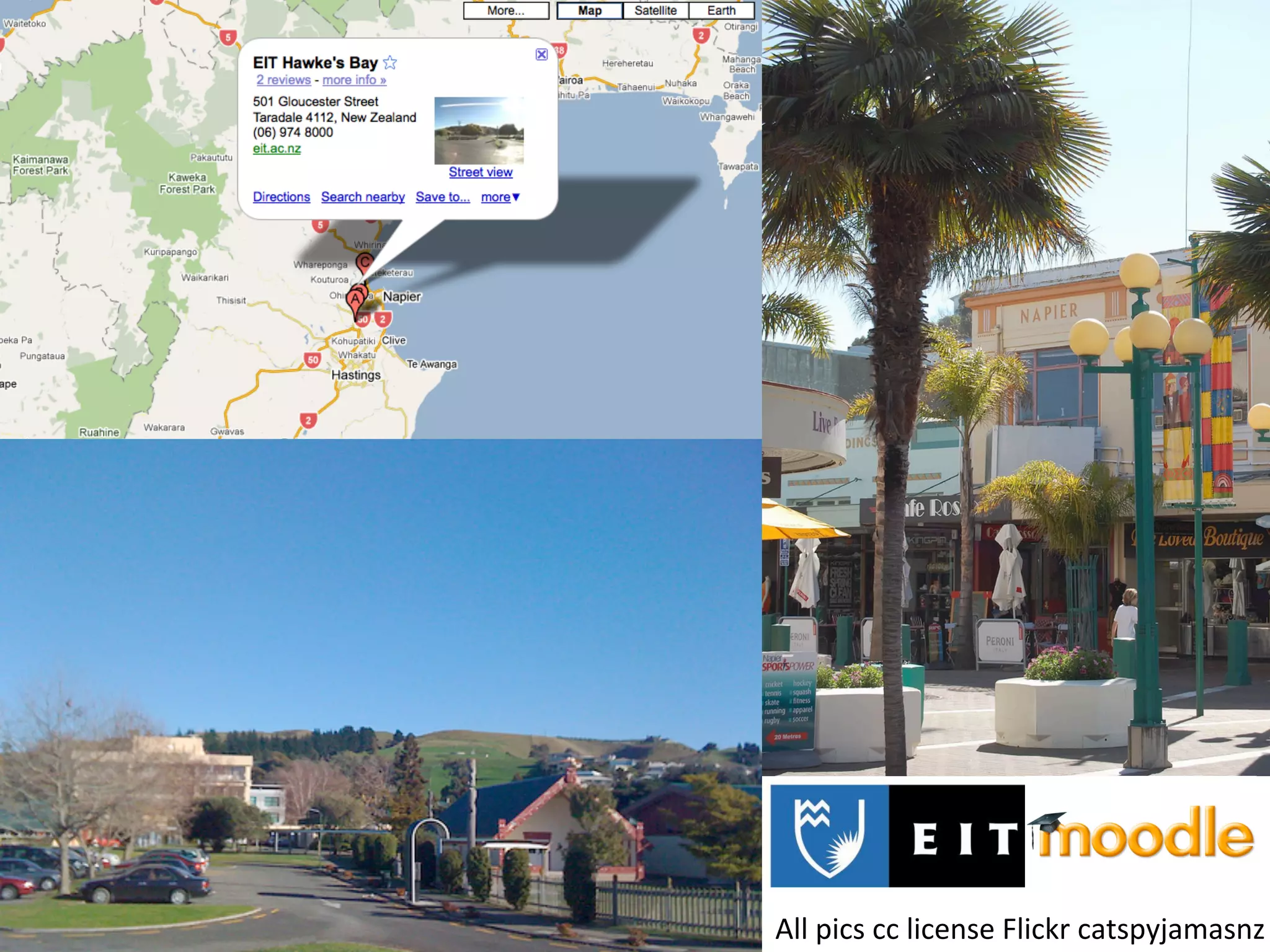 All	
  pics	
  cc	
  license	
  Flickr	
  catspyjamasnz	
  
 