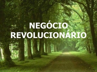 NEGÓCIO REVOLUCIONÁRIO 