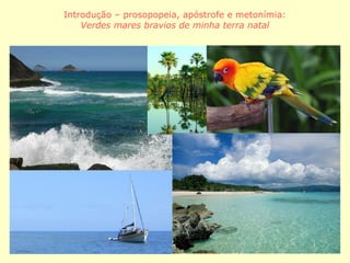 2
Introdução – prosopopeia, apóstrofe e metonímia:
Verdes mares bravios de minha terra natal
 
