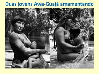 Duas jovens Awa-Guajá amamentando
 
