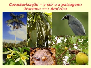 4
Caracterização – o ser e a paisagem:
Iracema ‹―› América
 