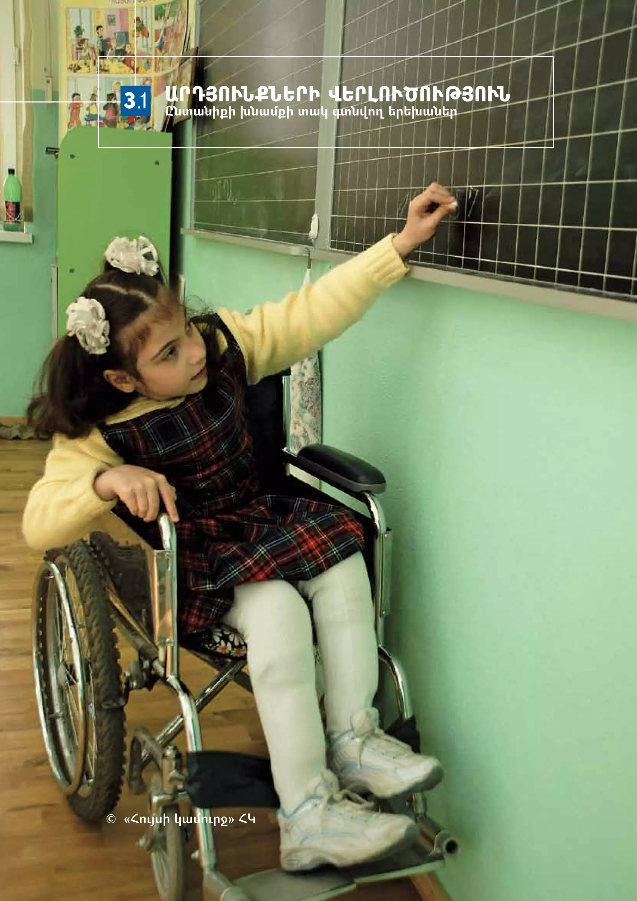 3.1 ԱՐԴՅՈՒՆՔՆԵՐԻ ՎԵՐԼՈՒԾՈՒԹՅՈՒՆ
      Ըն­ ա­ իք­ խնամքի տակ գտնվող երեխաներ
        տ ն ի




© «­ ույ­ ի կա­ ուրջ» ՀԿ
   Հ ս        մ
 