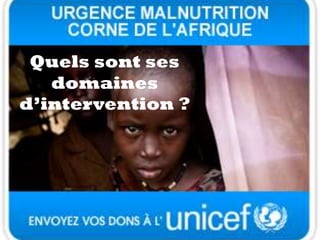 Quels sont ses
domaines
d’intervention ?