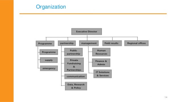 Unicef Organizational Chart