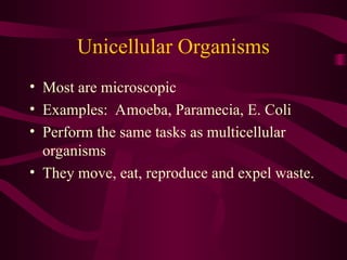 unicellular-organisms.ppt (for secondary level) | PPT